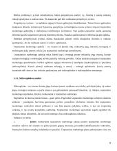 Tarptautinio marketingo strateginio valdymo aspektai ir jos diversifikacija. 8 puslapis