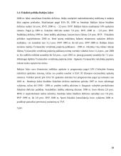 Darbas ES ir Baltijos šalyse 18 puslapis