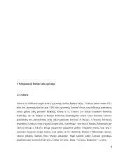 Darbas ES ir Baltijos šalyse 3 puslapis