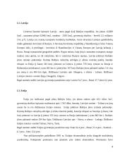 Darbas ES ir Baltijos šalyse 4 puslapis