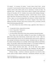 Centrinio banko monetarinė politika ir jos įgyvendinimo priemonės 11 puslapis