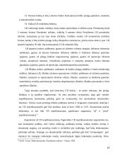 Centrinio banko monetarinė politika ir jos įgyvendinimo priemonės 14 puslapis