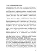 Lietuvos Centrinio Banko pasiruošimas stojimui į ES - teoriniai bei praktiniai aspektai 11 puslapis