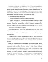 Lietuvos Centrinio Banko pasiruošimas stojimui į ES - teoriniai bei praktiniai aspektai 16 puslapis