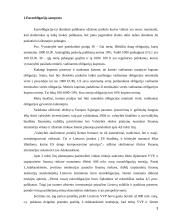 Euroobligacijų samprata 3 puslapis