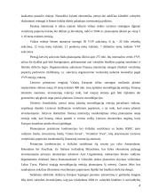 Euroobligacijų samprata 4 puslapis