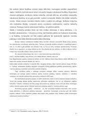 Fiskalinė Lietuvos politika atviroje ekonomikoje 17 puslapis