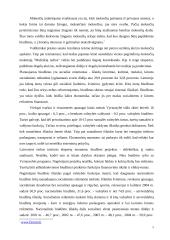 Fiskalinė Lietuvos politika atviroje ekonomikoje 5 puslapis