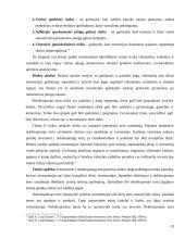 Investicijų į naujų nekilnojamojo turto produktų rinkodaros ypatumai 19 puslapis