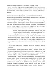 Kuro ir energijos vartojimo Lietuvoje ir jos pramonėje analizė 15 puslapis