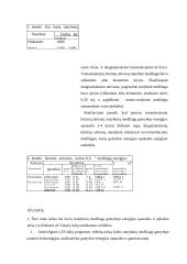 Kuro ir energijos vartojimo Lietuvoje ir jos pramonėje analizė 17 puslapis