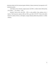 Lietuvos ekonominės politikos raida 11 puslapis