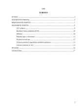 Ekonominė analizė: Jungtinės Amerikos Valstijos (JAV) 2 puslapis