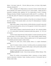 Ekonominė analizė: Jungtinės Amerikos Valstijos (JAV) 14 puslapis