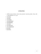 Ekonominė analizė: Jungtinės Amerikos Valstijos (JAV) 17 puslapis