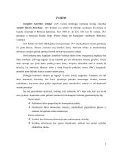 Ekonominė analizė: Jungtinės Amerikos Valstijos (JAV) 3 puslapis