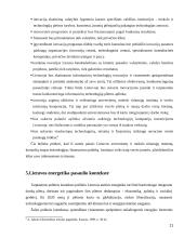 Lietuvos vieta pasaulio ekonomikoje 11 puslapis