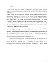 Privataus sektoriaus lyginamasis svoris ekonomikoje 2 puslapis