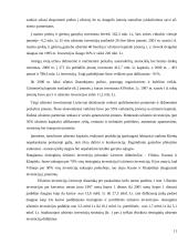 Privataus sektoriaus lyginamasis svoris ekonomikoje 11 puslapis