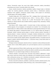 Privataus sektoriaus lyginamasis svoris ekonomikoje 5 puslapis