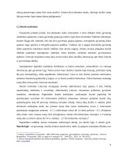 Skurdo mažinimo strategija Lietuvoje 5 puslapis