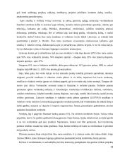 Smulkaus ir vidutinio verslo vystymasis ES 13 puslapis