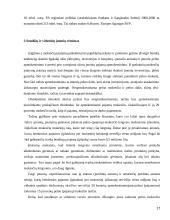 Smulkaus ir vidutinio verslo vystymasis ES 17 puslapis