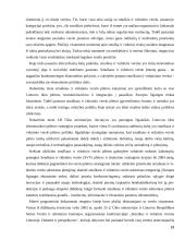 Smulkaus ir vidutinio verslo vystymasis ES 19 puslapis