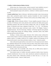 Smulkaus ir vidutinio verslo vystymasis ES 3 puslapis