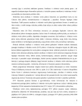 Smulkaus ir vidutinio verslo vystymasis ES 5 puslapis