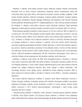 Smulkaus ir vidutinio verslo vystymasis ES 6 puslapis