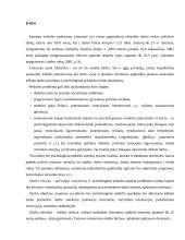 Jaunimo nedarbo socialinės ir psichologinės pasėkmės 2 puslapis