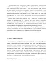 Jaunimo nedarbo socialinės ir psichologinės pasėkmės 6 puslapis