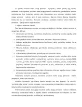 Socialinių paslaugų sektoriaus strateginė analizė 11 puslapis