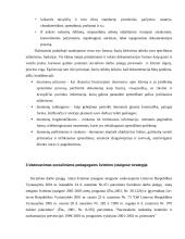 Socialinių paslaugų sektoriaus strateginė analizė 13 puslapis