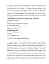 Socialinių paslaugų sektoriaus strateginė analizė 15 puslapis