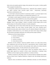 Socialinių paslaugų sektoriaus strateginė analizė 17 puslapis