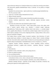 Socialinių paslaugų sektoriaus strateginė analizė 19 puslapis