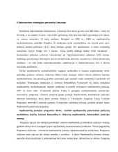 Socialinių paslaugų sektoriaus strateginė analizė 20 puslapis