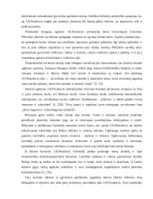 Socialinių paslaugų sektoriaus strateginė analizė 4 puslapis