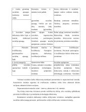 Socialinių paslaugų sektoriaus strateginė analizė 8 puslapis