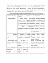 Socialinių paslaugų sektoriaus strateginė analizė 9 puslapis