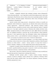 Socialinių paslaugų sektoriaus strateginė analizė 10 puslapis