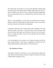 Bella Vista hotel analysis 19 puslapis