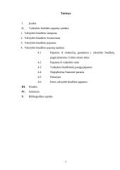 Valstybės biudžeto pajamų sandara 2 puslapis