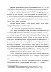 Valstybės biudžeto pajamų sandara 11 puslapis