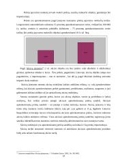 Valstybės biudžeto pajamų sandara 14 puslapis