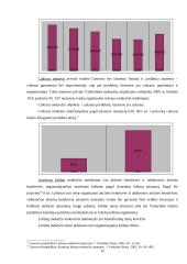 Valstybės biudžeto pajamų sandara 15 puslapis