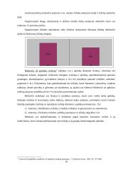 Valstybės biudžeto pajamų sandara 16 puslapis