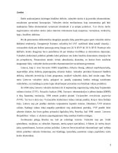 Valstybės skolos ir biudžeto deficito įtaka 2 puslapis